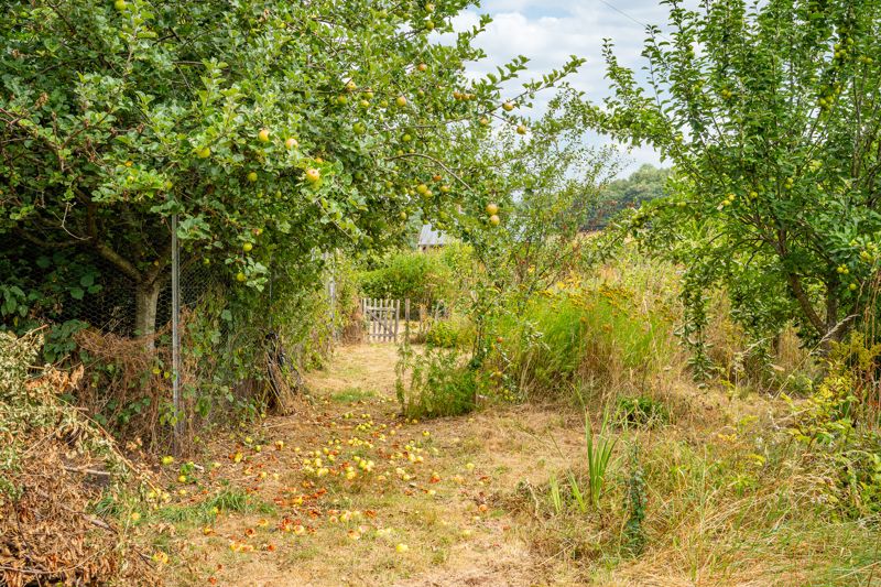 Garden- click for photo gallery